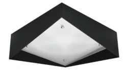 Deckenspot AVIOR Schwarz - 22W - 2000Lm - Warmweiß 3000K
