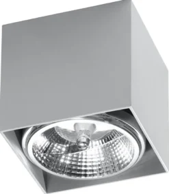 Deckenspot BLAKE Grau - 1x GU10 / ES111 Fassung - max. 40W - exkl. LED's