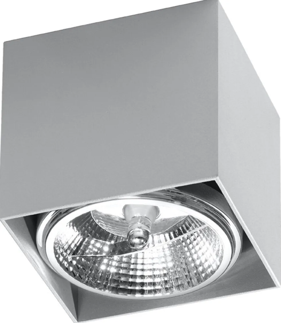 Deckenspot BLAKE Grau - 1x GU10 / ES111 Fassung - max. 40W - exkl. LED's