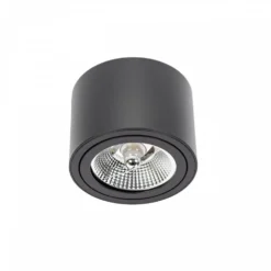 LED Deckenspot AR111 230V – Matt Schwarz - exkl. LED Spot