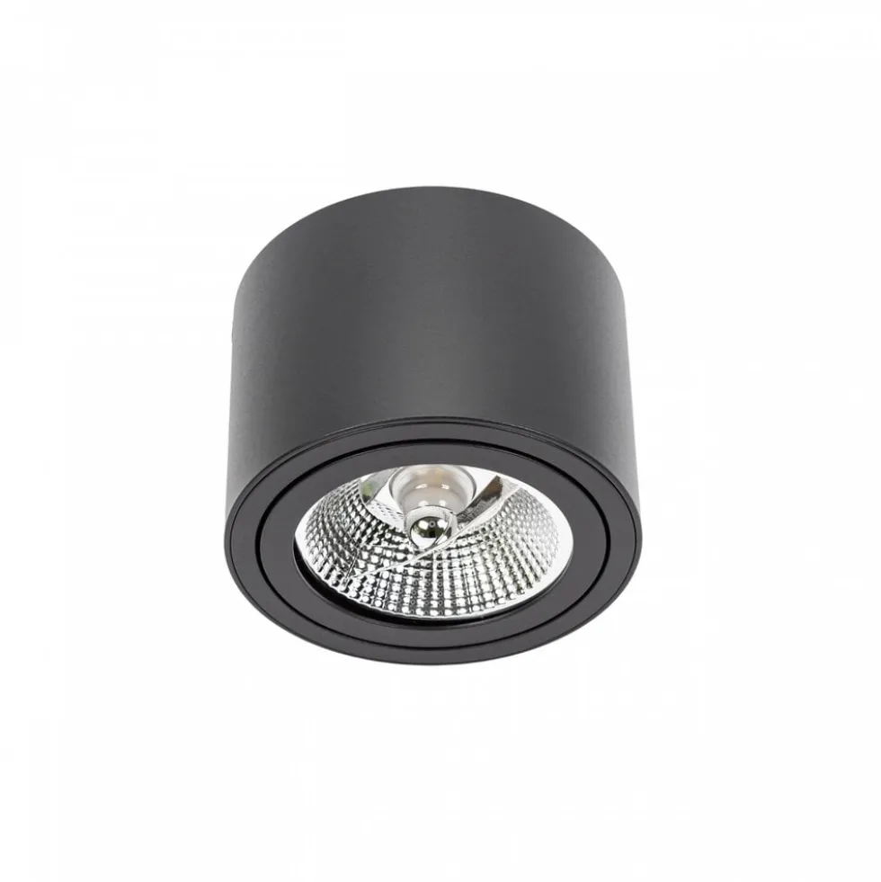 LED Deckenspot AR111 230V – Matt Schwarz - exkl. LED Spot