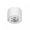 LED Deckenspot - AR111 230V - Mattweiss - exkl. LED Spot