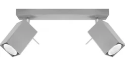 LED Deckenspot Grau MERIDA - 2 x GU10 Fassung - exkl. LED's