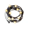 LED Lichterkette 20m (2x10m) - Inkl. 20x LED Lampe G45 - 1W - 3000K