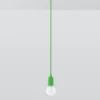 Pendelleuchte DIEGO 1 Grün - 1x E27 Fassung - max. 60W - exkl. LED's