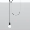Pendelleuchte EDISON 1 Schwarz - 1x E27 Fassung - max. 60W - exkl. LED's